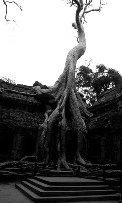 IMG_0947 (small)