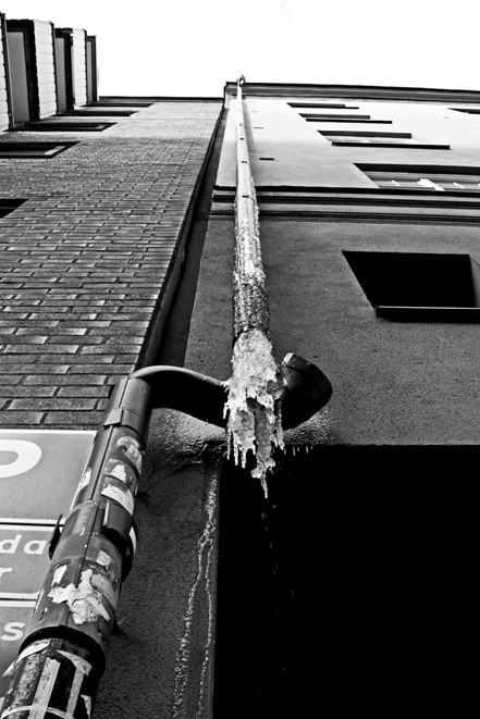 IMG_1398 ps (small)