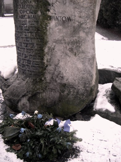 DSCF4511.JPG (small)