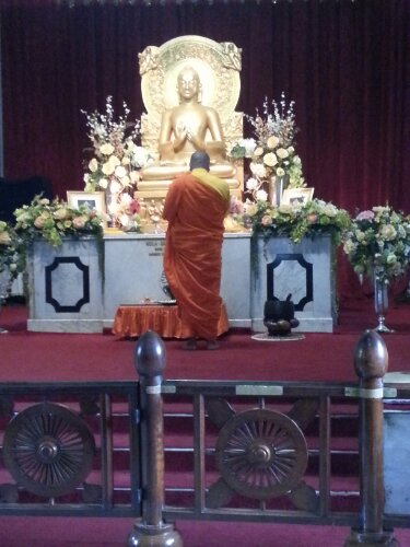 20130220_105100.jpg image