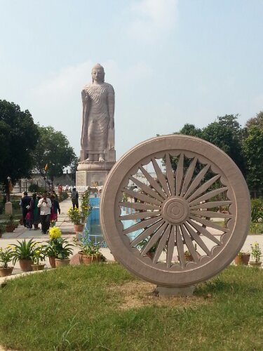 20130220_111835.jpg image
