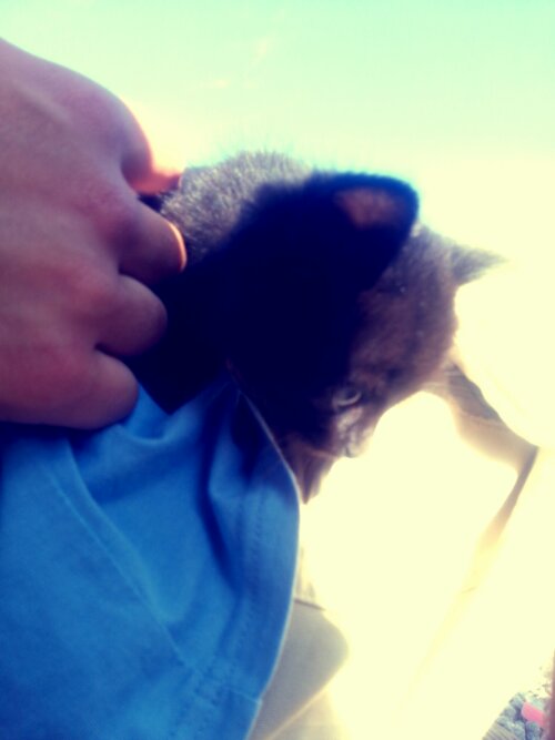 20130721_175350_Josh.jpg image