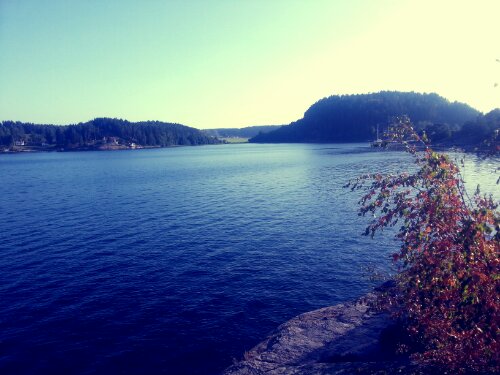 20130721_183926_Josh.jpg image