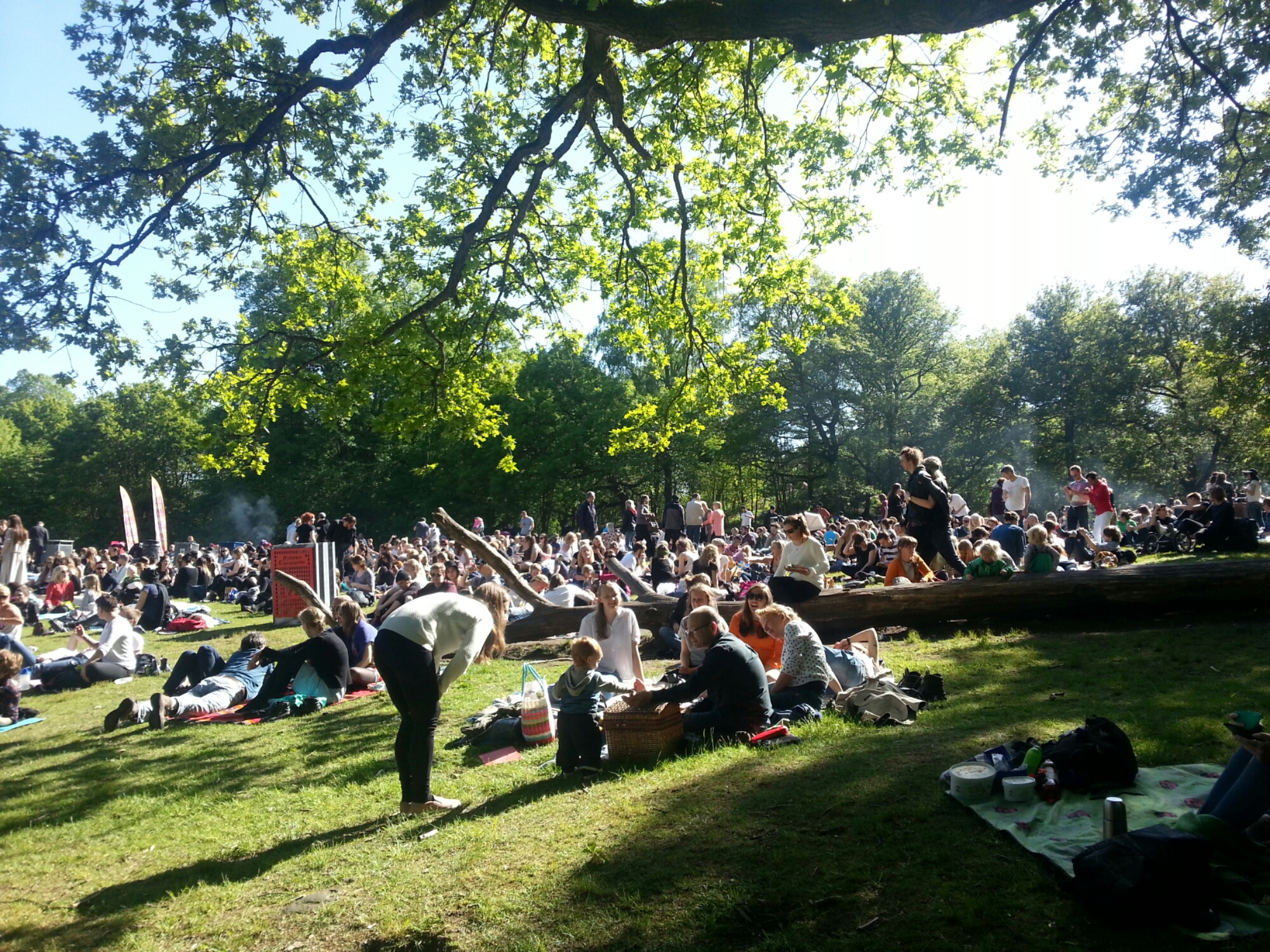 20150606_163547.jpg image