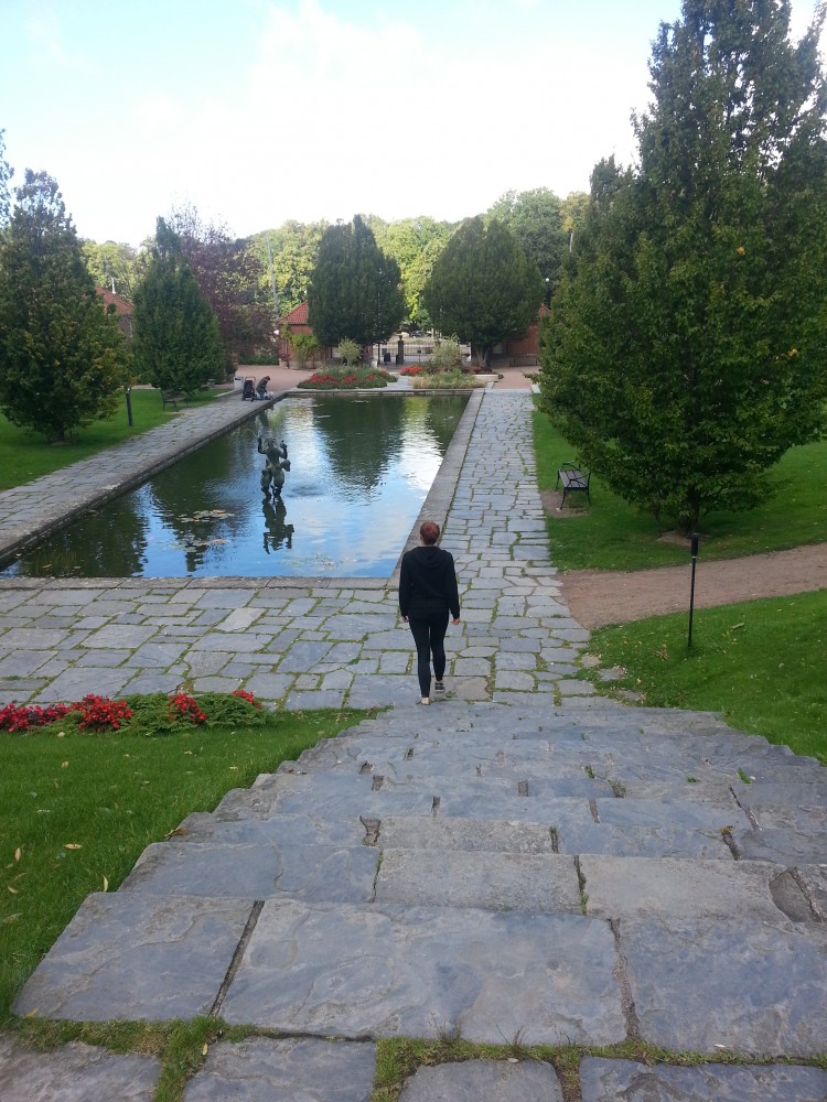 wpid-20150919_105330.jpg